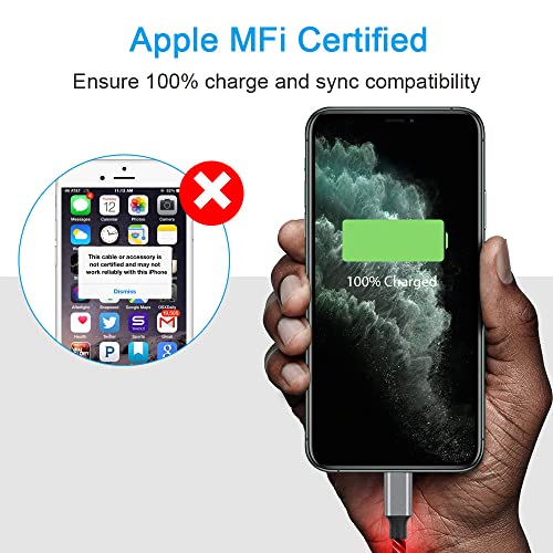 Apple LED iPhone Fast Charging Cable | USB A to Lightning | Compatible with iPhone 13 Pro Max 12 Mini 11 X XS XR 8 7P 6S
